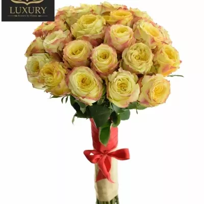Kytice 25 luxusních růží KRYPTONITE 60cm