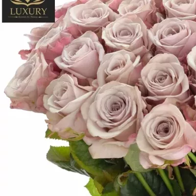 Kytice 25 luxusních růží LOVELACE 