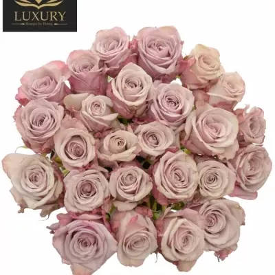 Kytice 25 luxusních růží LOVELACE 70cm