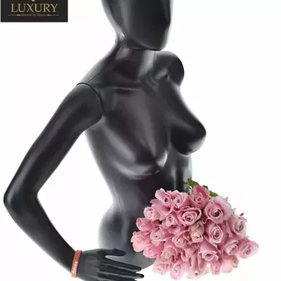 Kytice 25 luxusních růží PINK AVALANCHE+ 50cm