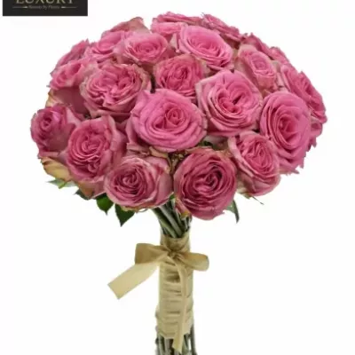 Kytice 25 luxusních růží PINK TORRENT 50cm