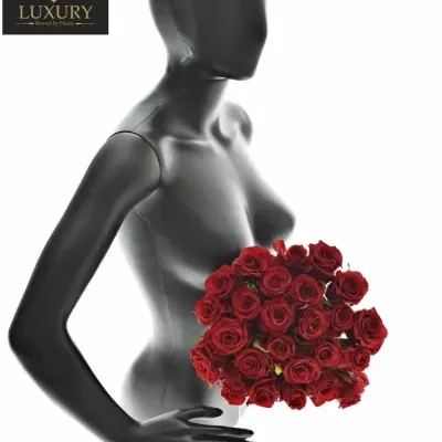 Kytice 25 luxusních růží RED EAGLE 60cm
