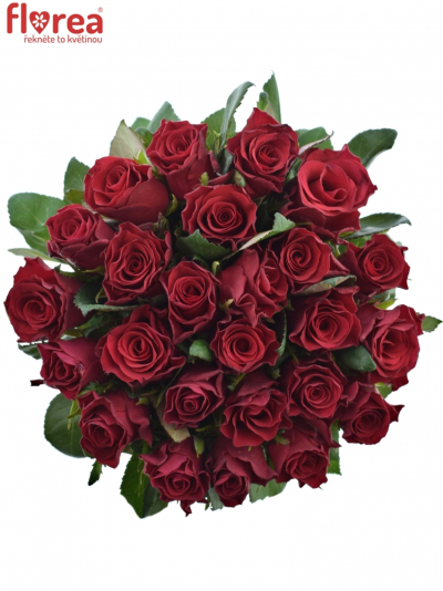 Kytice 25 červených růží Red Tacazzi+ 70cm