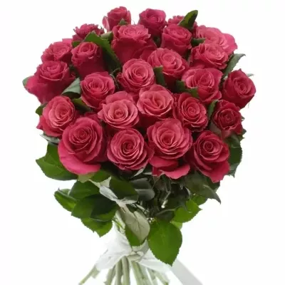 Kytice 25 malinových růží TACAZZI 50cm