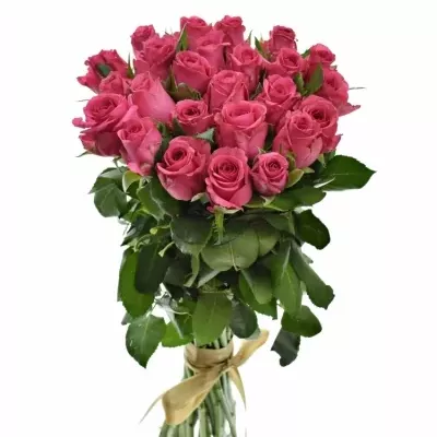 Kytice 25 malinových růží TENGA VENGA 40cm