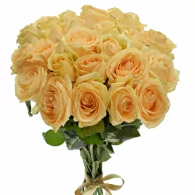Kytice 25 meruňkových růží AVALANCHE PEACH+ 60cm