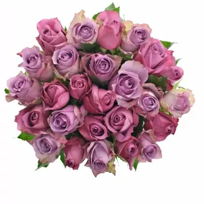 Míchaná kytice 25 vícebarevných růží ABEER 40 cm