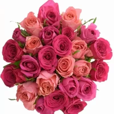 Kytice 25 míchaných růží ABERIA 50cm