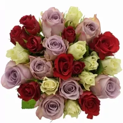 Míchaná kytice 25 vícebarevných růží DEVORA 40 cm