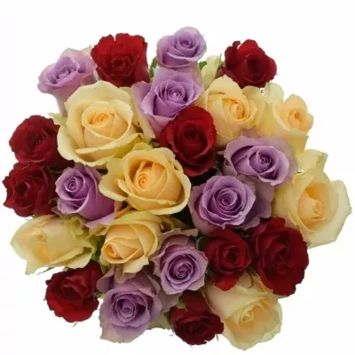 Míchaná kytice 25 vícebarevných růží DEVORAH 50 cm
