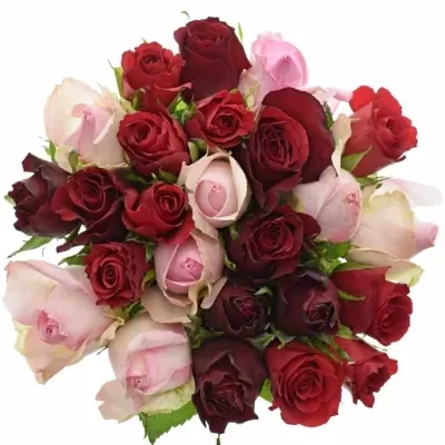 Míchaná kytice 25 vícebarevných růží DEVRIA 40 cm
