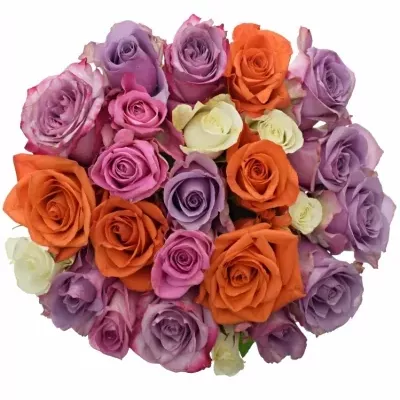Míchaná kytice 25 vícebarevných růží DOLORRES 50 cm