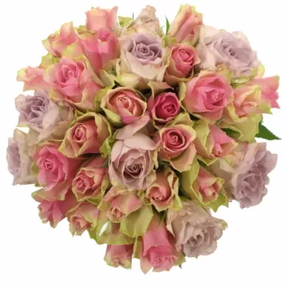 Míchaná kytice 25 vícebarevných růží IKIA 60 cm