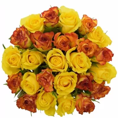 Kytice 25 míchaných růží JANNY 60cm