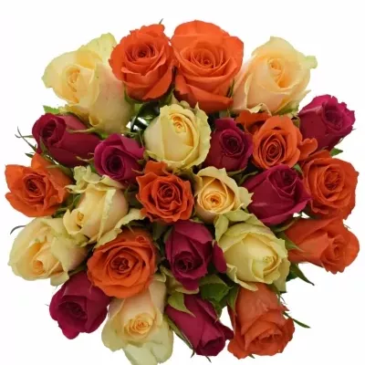 Kytice 25 míchaných růží KIMI CANDRA 50cm