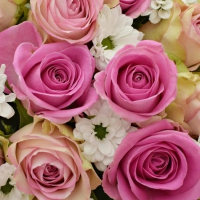 Kytice 25 míchaná LINDA