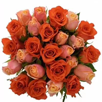 Míchaná kytice 25 vícebarevných růží ORANGE CANDRA 60 cm