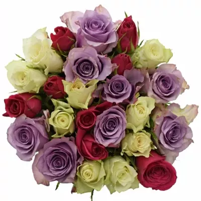 Míchaná kytice 25 vícebarevných růží RONI 60 cm