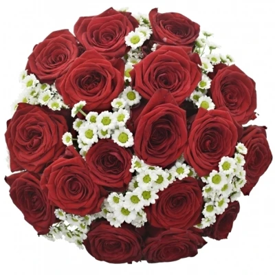 Kytice 25 míchaná ROSALINE