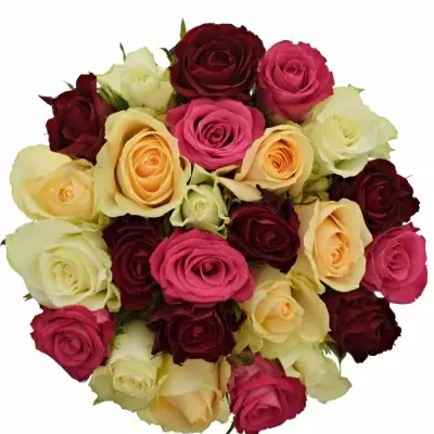 Míchaná kytice 25 vícebarevných růží AMALGITH 60 cm