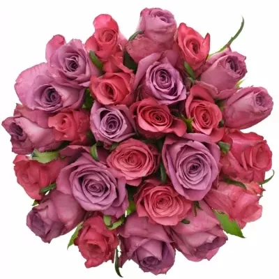 Kytice 25 míchaných růží BENAYA