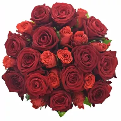 Míchaná kytice 25 vícebarevných růží BERENIKE 50 cm