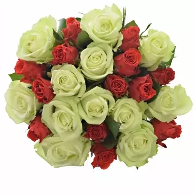 Míchaná kytice 25 vícebarevných růží BRITTANY 35 cm