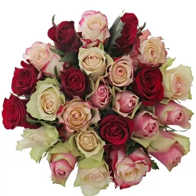 Kytice 25 míchaných růží EBIGALE 50cm