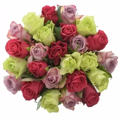 Míchaná kytice 25 vícebarevných růží FRANCESCA 50 cm