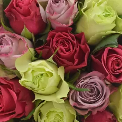Kytice 25 míchaných růží FRANCESCA 35cm