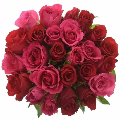 Kytice 25 míchaných růží GRACIANA 50cm