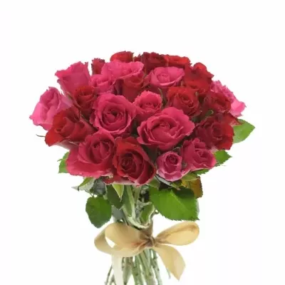 Kytice 25 míchaných růží GRACIANA 35cm