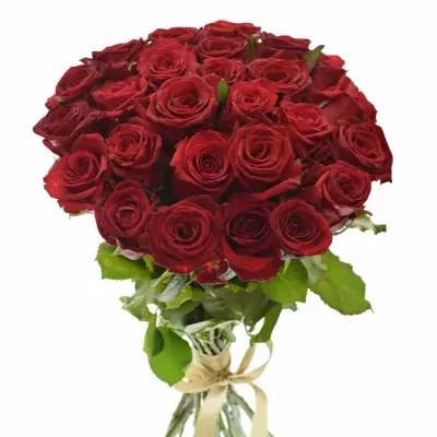 Kytice 25 míchaných růží JOANNA 55cm