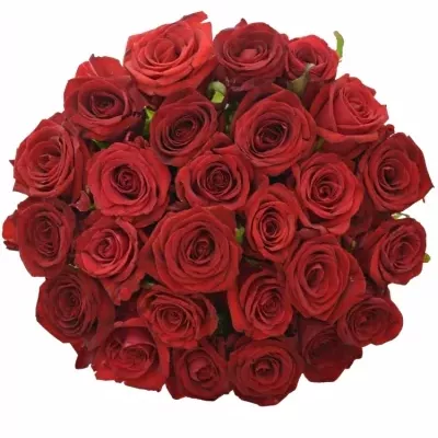 Kytica 25 miešaných ruží JOANNA 50cm