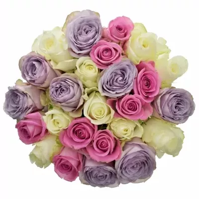 Míchaná kytice 25 vícebarevných růží LIGHT LORRIESS 40 cm