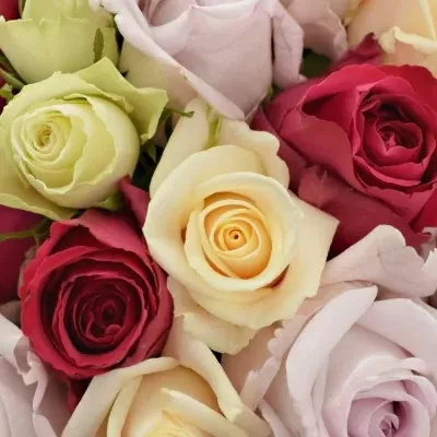 Kytice 25 míchaných růží LORRIESS