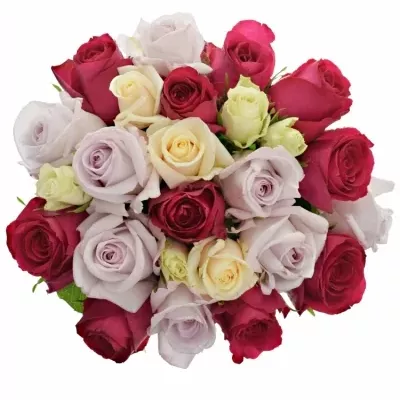 Kytice 25 míchaných růží LORRIESS