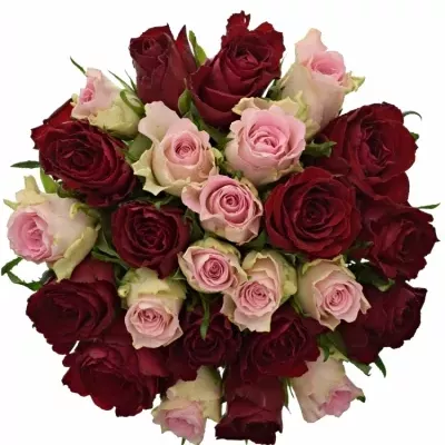 Kytice 25 míchaných růží MADAM BISOU 50cm