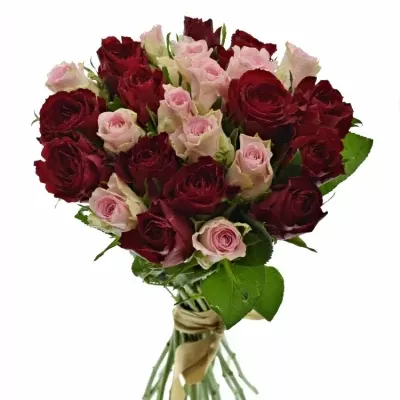 Kytice 25 míchaných růží MADAM BISOU 50cm