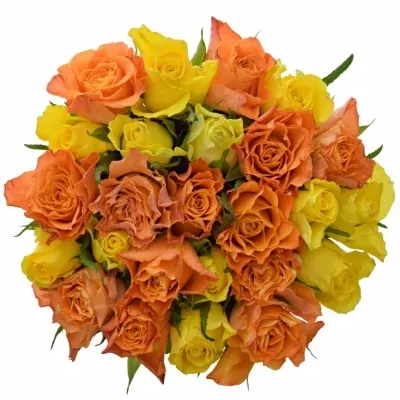 Míchaná kytice 25 vícebarevných růží MARYWALK 50 cm