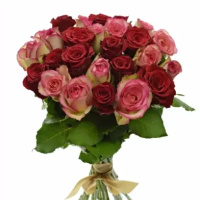 Kytice 25 míchaných růží ODETTE 60cm