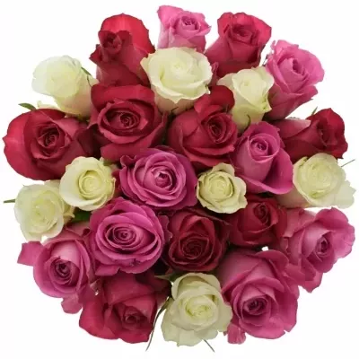 Míchaná kytice 25 vícebarevných růží PURPLE DANCE 40 cm