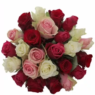 Kytice 25 míchaných růží RADWAN 50cm