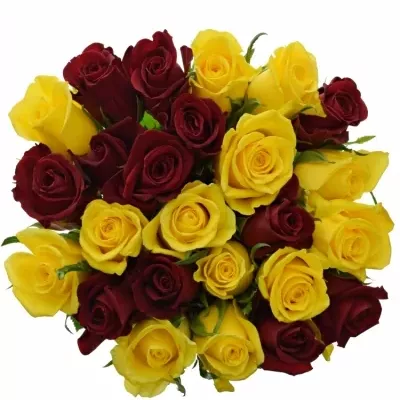 Míchaná kytice 25 vícebarevných růží RED DELTA 60 cm
