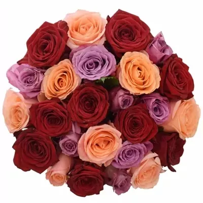 Míchaná kytice 25 vícebarevných růží RED LADY ORLEA 60 cm