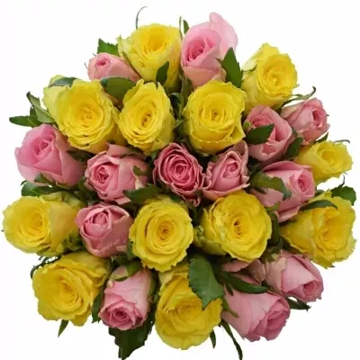 Míchaná kytice 25 vícebarevných růží SHANLEY 60 cm