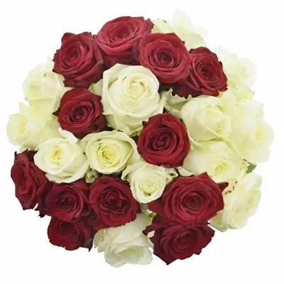 Míchaná kytice 25 vícebarevných růží THINA 60 cm
