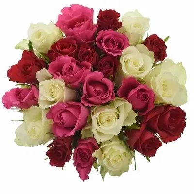 Míchaná kytice 25 vícebarevných růží WHITE GRACIANA 55 cm