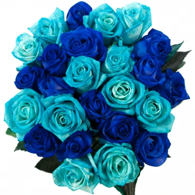 Kytice 25 modrých růží BLUE ADRIANA