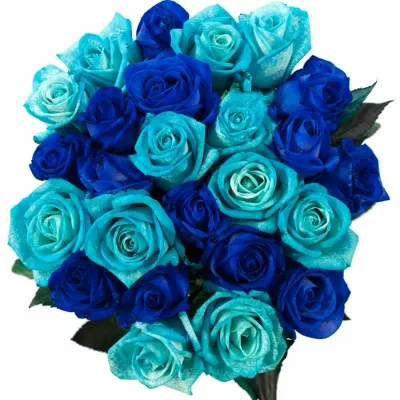 Kytice 25 modrých růží BLUE ADRIANA